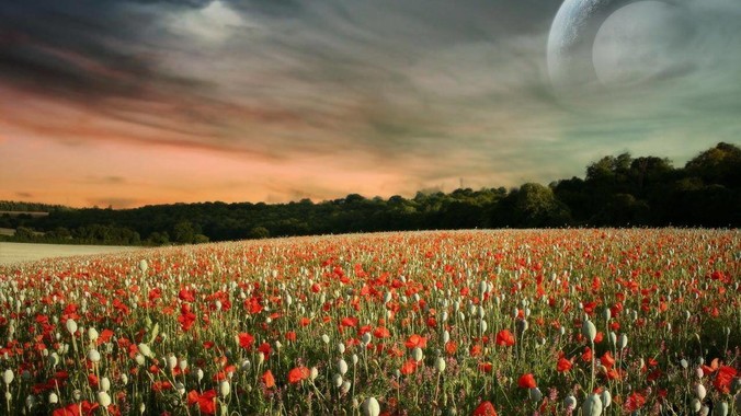 做开发你遇到最无理的需求是什么？